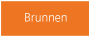 brunnenia