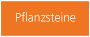 pflanz