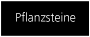 pflanz